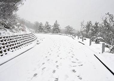 员工齐出动 扫雪除冰保安全